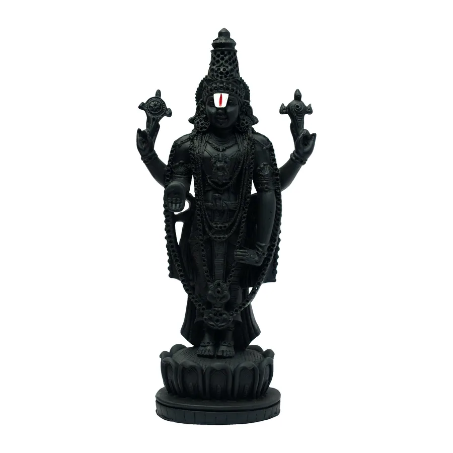 Vishnu Idol, Black