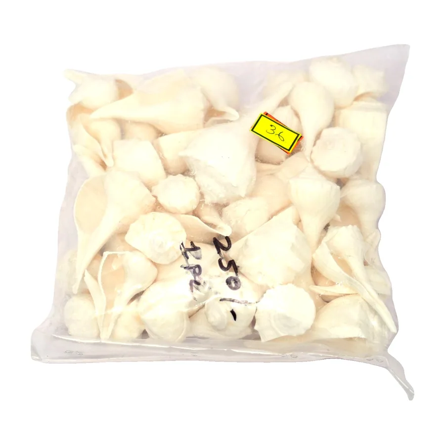 Mixed Sea Shells, White (Bag)